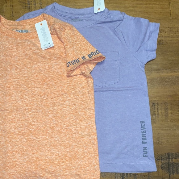 GYMBOREE (2 T Shirts) - Picture 2 of 6
